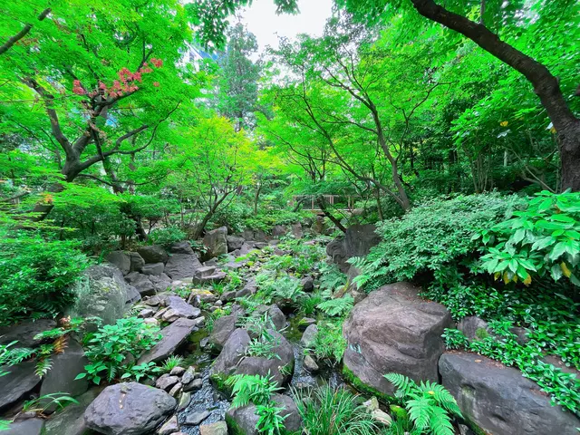 中自然の森