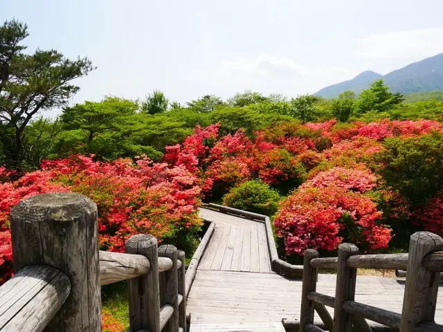 八幡ツツジ群落