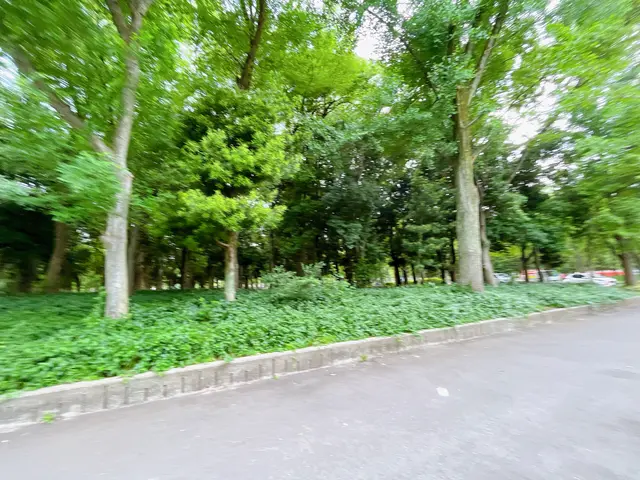 大阪城公園