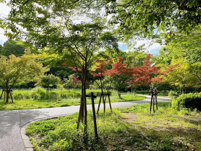 もみじ園（大阪城公園内）