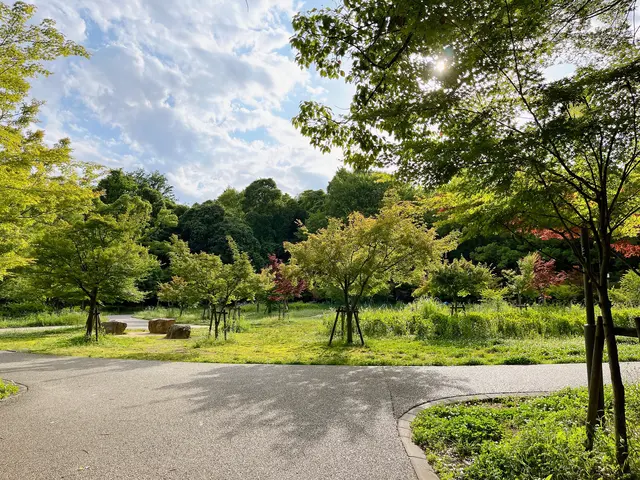 もみじ園（大阪城公園内）