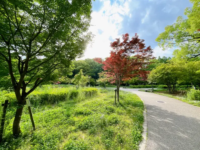 もみじ園（大阪城公園内）