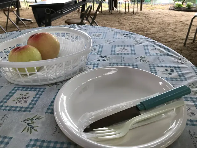 桃茂実苑観光農園