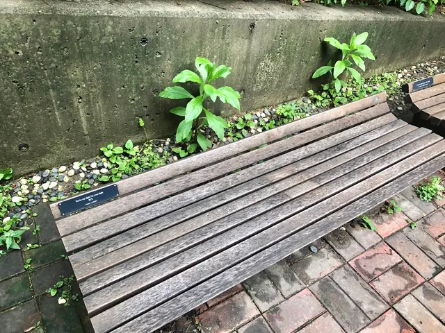 ソウルの森/ソウルスッ/서울숲