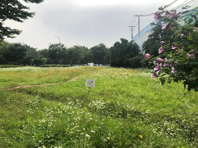 ソウルの森/ソウルスッ/서울숲