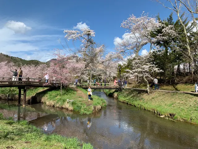 忍野八海