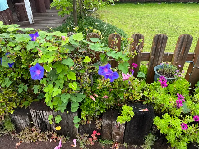 パパベル 高松店