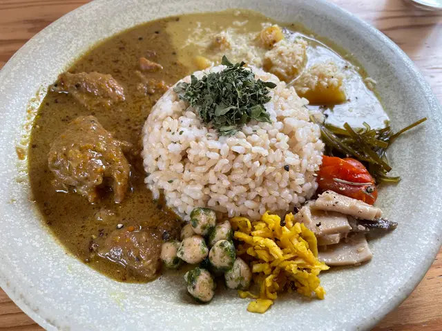 本と玄米カレー ヨスカ