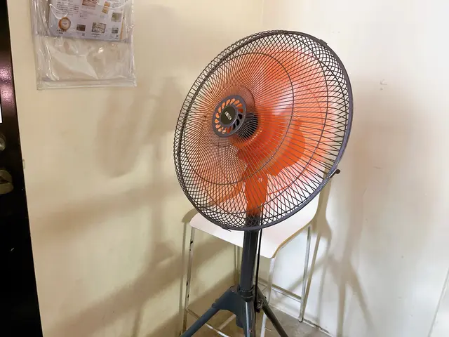 Parlor Vinefru 銀座（パーラービネフル）