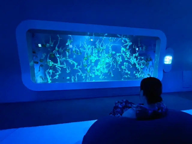 新江ノ島水族館