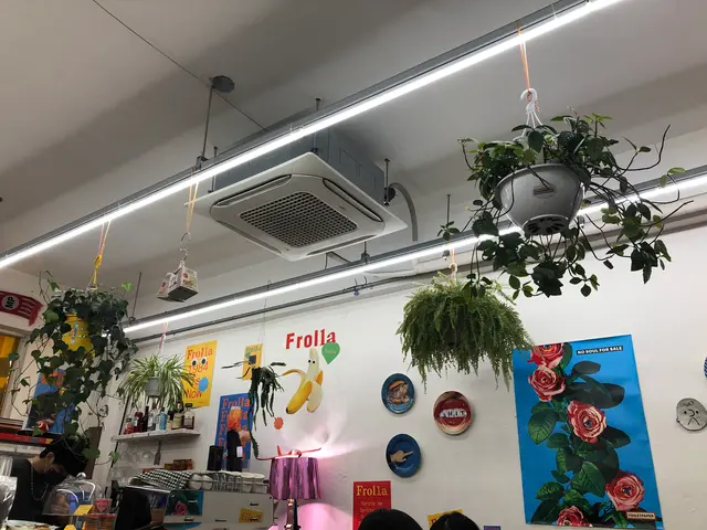 Frolla Seoul（프롤라）