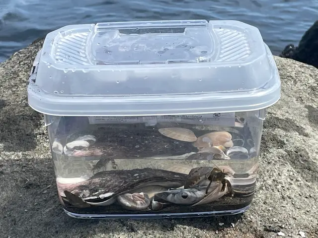 ヘッドランドビーチ (Ｔバー）