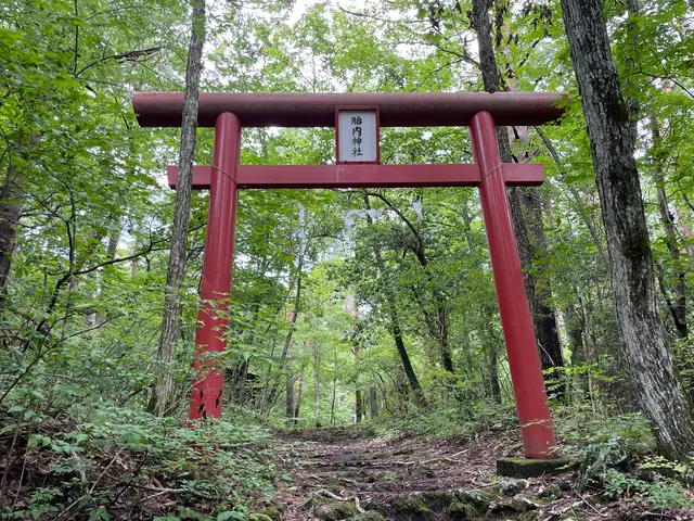 吉田胎内樹型