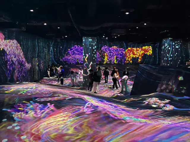 teamLab Forest / チームラボフォレスト – SBI証券