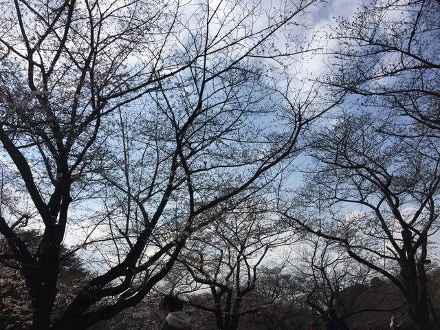 代々木公園