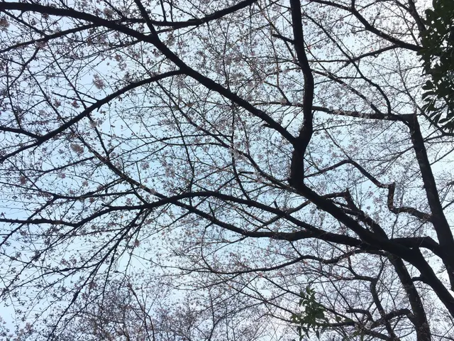 世田谷公園