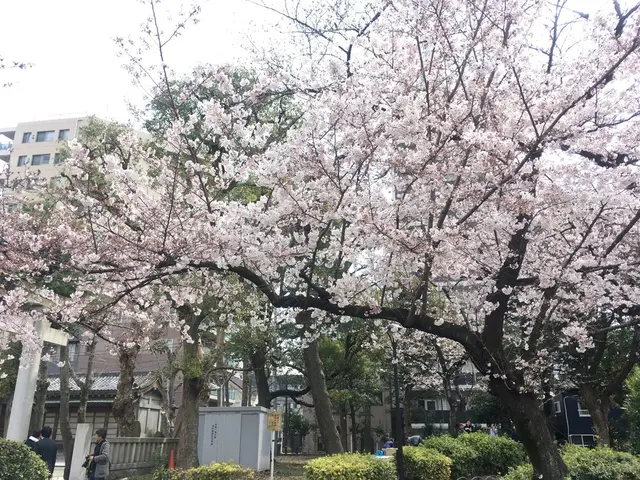 隅田公園