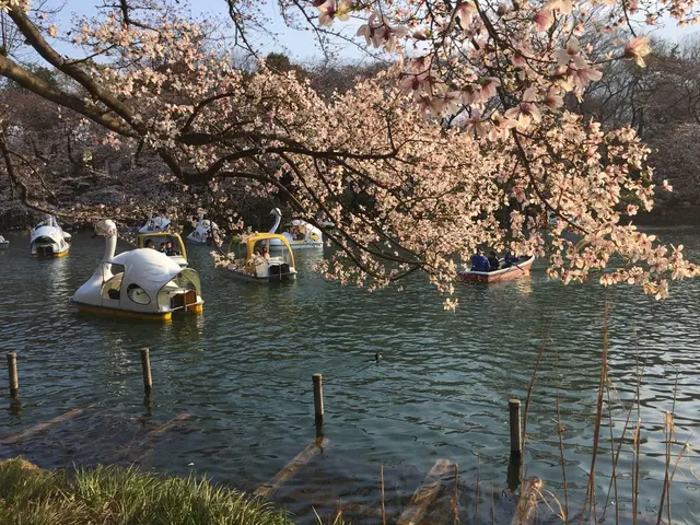 井の頭恩賜公園