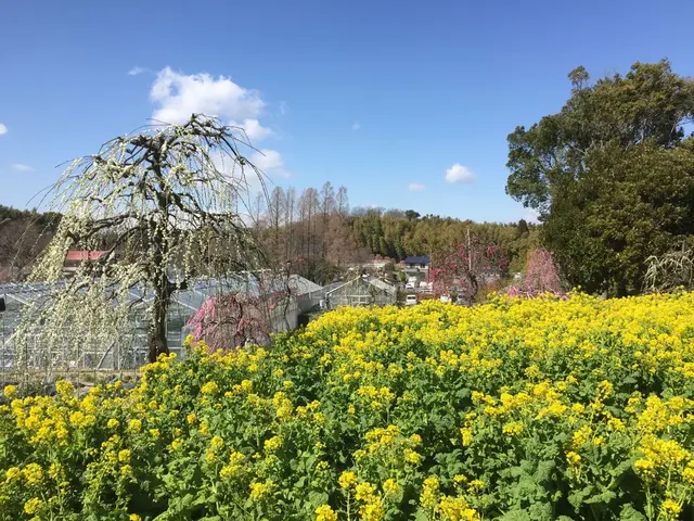名古屋市農業センター