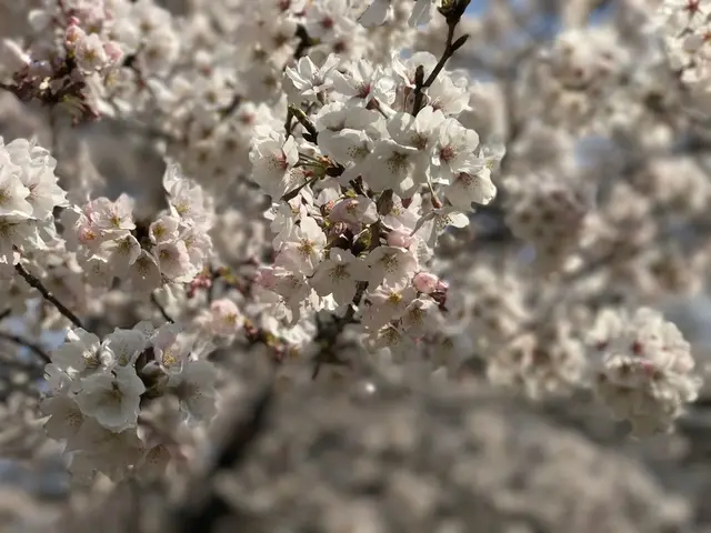 さいたま市　市民の森