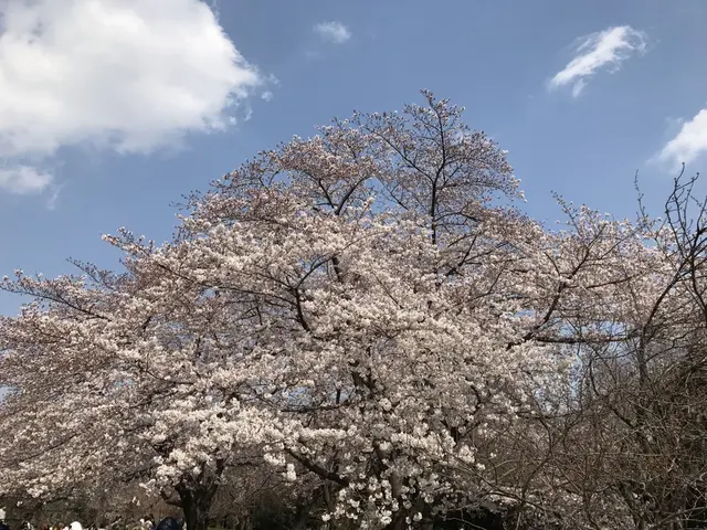 さいたま市　市民の森