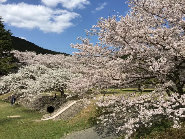 定光寺公園