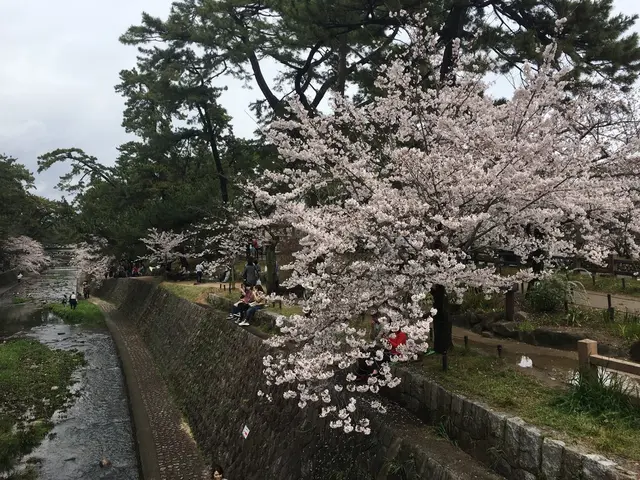 ヨーキーズブランチ （YORKYS BRUNCH）