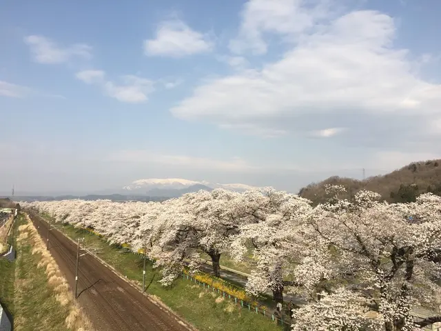 船岡城址公園