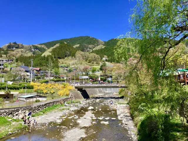 道の駅 果樹公園あしがくぼ