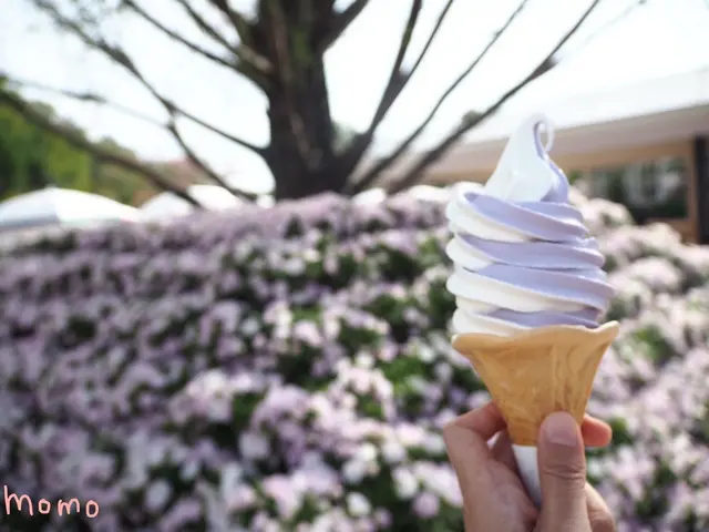 あしかがフラワーパーク