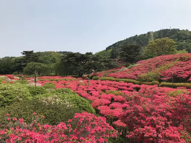 小室山公園