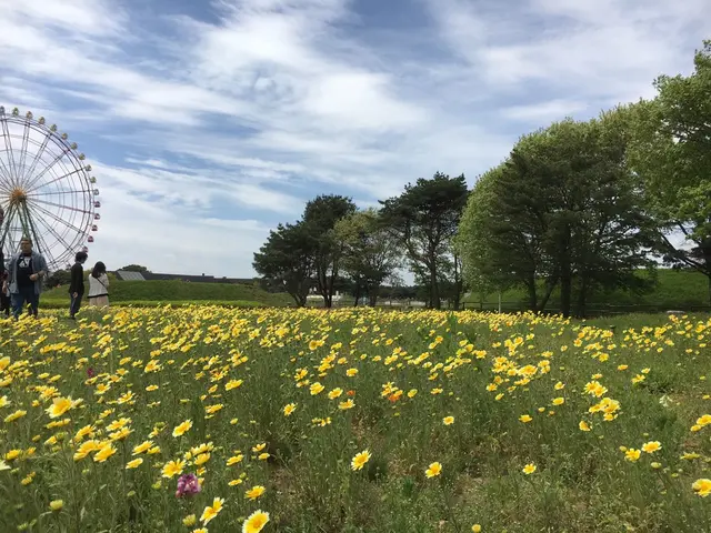 国営ひたち海浜公園