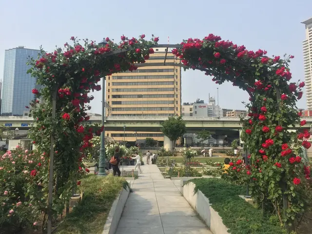 中之島公園