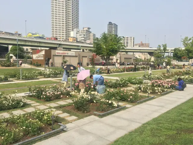 中之島公園