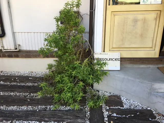 ルスルス 東麻布店