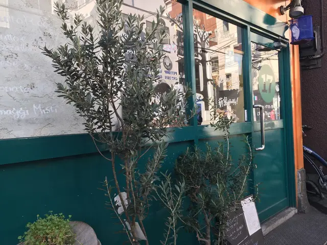 ピッツァ・イナ（ＰＩＺＺＡ１７）