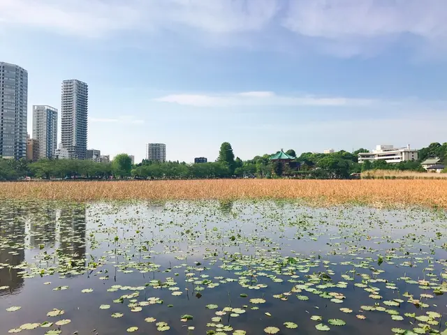 不忍池