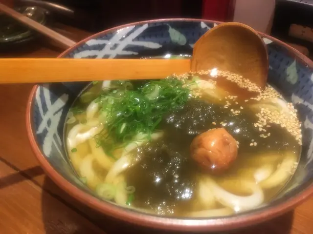 肉うどんの戸上家