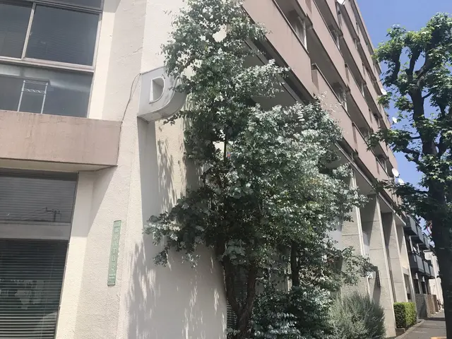 D&DEPARTMENT TOKYO