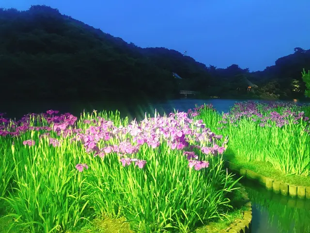 三溪園