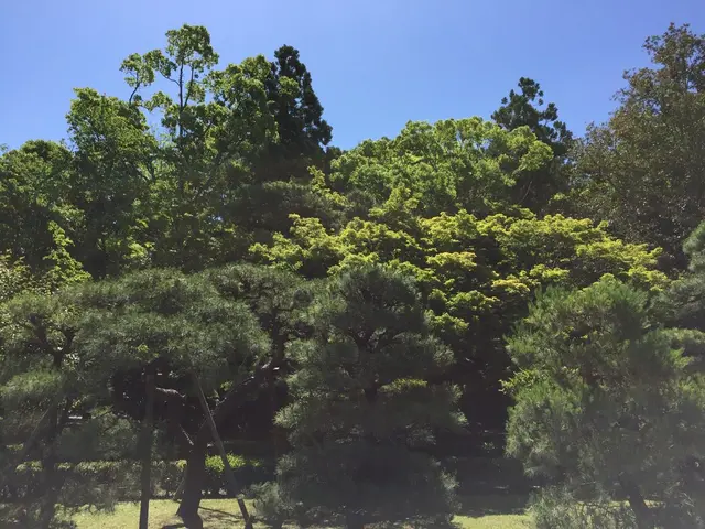 伊勢神宮内宮（皇大神宮）