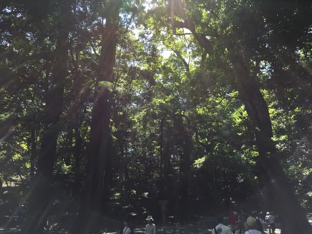 伊勢神宮内宮（皇大神宮）