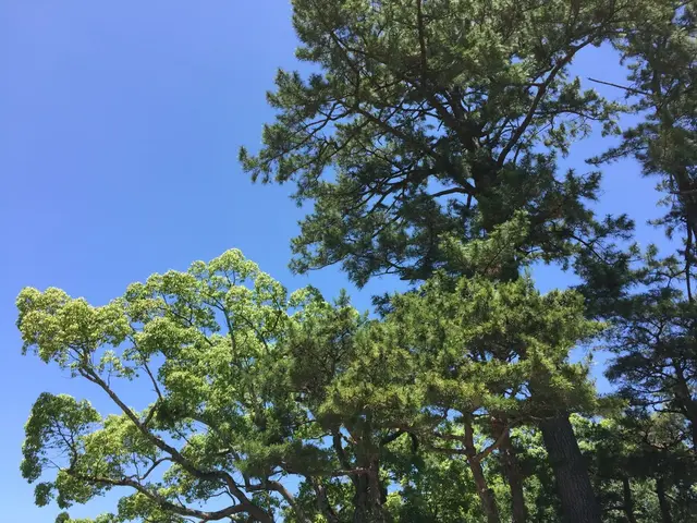 伊勢神宮外宮（豊受大神宮）