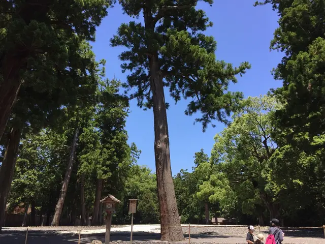 伊勢神宮外宮（豊受大神宮）