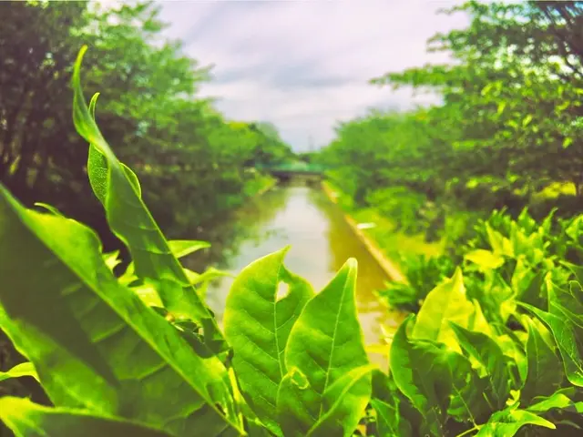 柴山潟湖畔公園