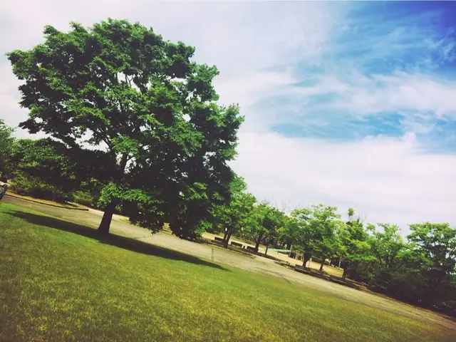 柴山潟湖畔公園