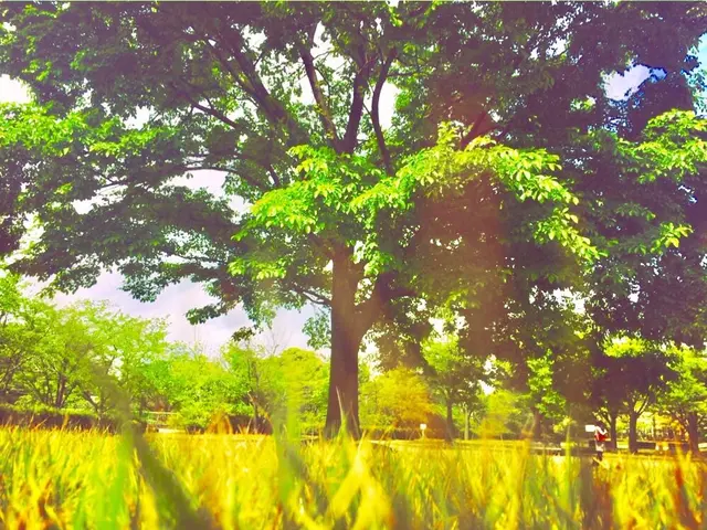 柴山潟湖畔公園