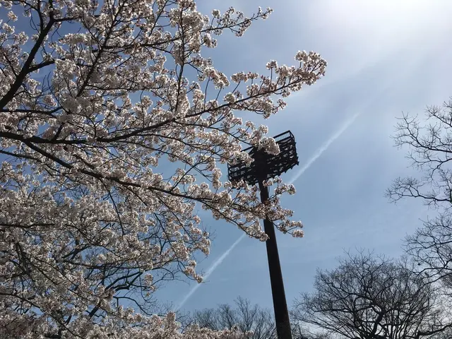 鴻巣市立陸上競技場