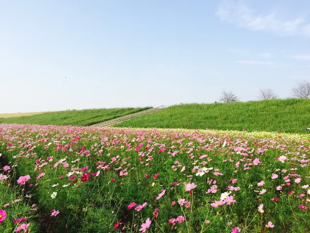 コスモスアリーナふきあげ