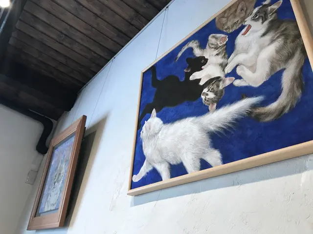 薬膳スープカレー・シャナイア（Shania）